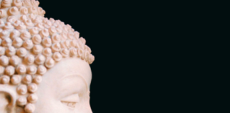 The Science of the Mind and the Science of the Brain
