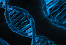 U-M Team Concludes Bipolar Disorder Has Many Causes