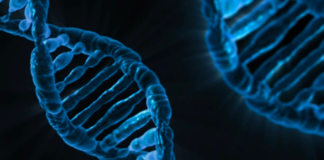 U-M Team Concludes Bipolar Disorder Has Many Causes