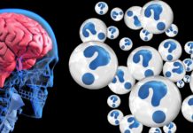 Misconceptions About Brain Science Very Common, Study Finds