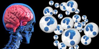 Misconceptions About Brain Science Very Common, Study Finds