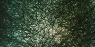 Histories of Violence: Neurodiversity and the Policing of the Norm