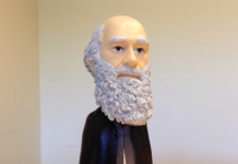 Evolution Doesn’t Care What You Think a Brain Region is Called