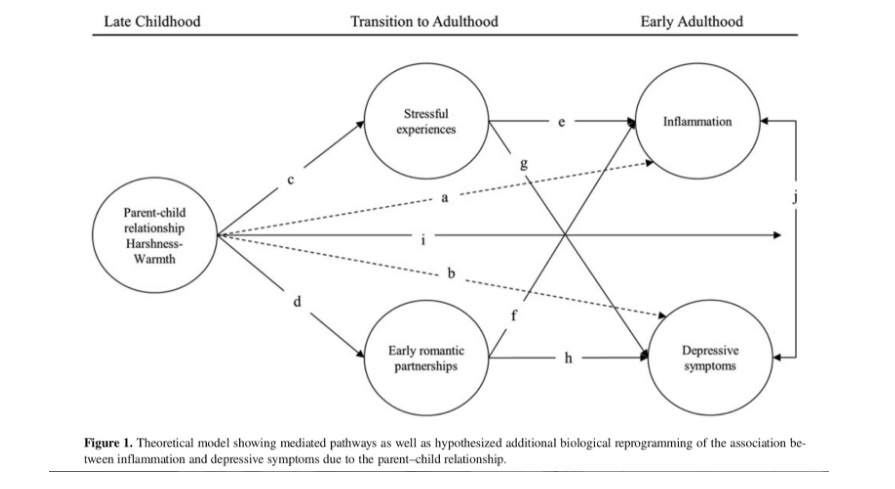 adverse childhood experiences