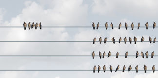 If “Mental Illnesses” Aren’t Real Illnesses, What Are They? birds on a wire
