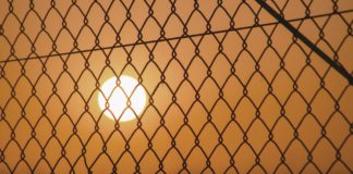 Life Sentence: Life Behind the Bars of the Mental Health System
