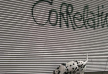 Researchers Question Findings of Some Correlational Studies