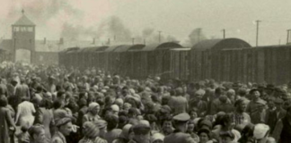 Psychiatry’s Little Known Role in Creating the Holocaust