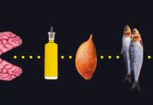 The Foods That Can Help and Harm Your Brain