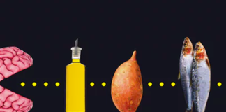 The Foods That Can Help and Harm Your Brain