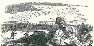 A Cultural History of Extraordinary Bodies