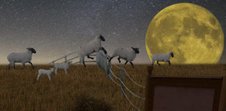 Beyond the Medicalization of Insomnia