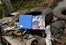 Psychology Textbooks Promote Misinformation About Intelligence