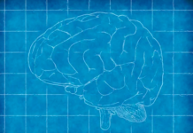 “My Brain Made Me Do It” Becoming Common Defense