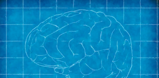 “My Brain Made Me Do It” Becoming Common Defense