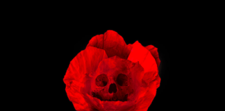 The Poison We Pick
