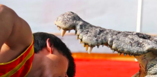 Yale Neuroscientists Debunked the Idea That Anyone is “Normal”