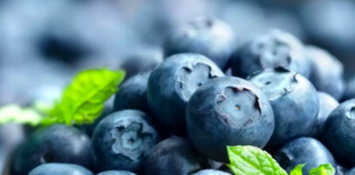 Why Nutritional Psychiatry is the Future of Mental Health