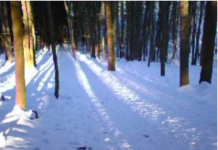 Research Is Shedding New Light on Hearing Voices