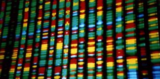 Direct-to-Consumer Genetic Testing is Often Wrong
