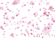 Blossom by Ashleigh