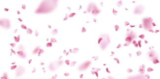 Blossom by Ashleigh