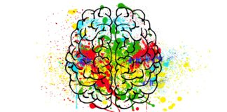 Scientists Fight Against the Myth of the Normal or Optimal Brain