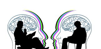Therapists Collaborate with Clients through Metatherapeutic Communication