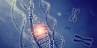 Debunking The Latest Gene Study genetic code