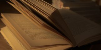 Call for Submissions: Smash Paternalism Anthology