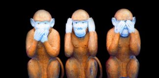 APA: Do Not Take a “See No Evil” Approach to Torture