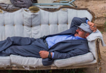 Temperamentally Blessed