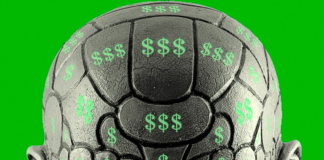 How Income Affects the Brain
