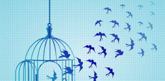 Towards the Re-politicization of “Mental Illness” escaping cage of mental illness