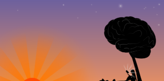 Social Scientists Question Growing Neuro Discourse