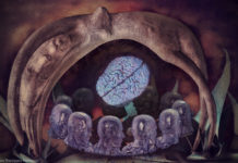 Researchers Explore Sexuality and Gender in the Context of Psychosis