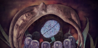 Researchers Explore Sexuality and Gender in the Context of Psychosis