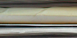 Can Auditing Scientific Research Fix its Reproducibility Crisis?