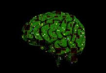 Response to ‘Aligning Computational Psychiatry to the HVN’