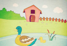 Hospitalized and Heading Toward Homelessness housing ducks