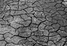 Early Life Exposure to Famine Can Lead to Depression