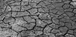 Early Life Exposure to Famine Can Lead to Depression