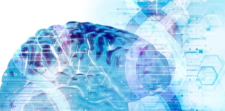 Early Life Experience: It’s In Your DNA