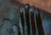 Does Meditation Work?