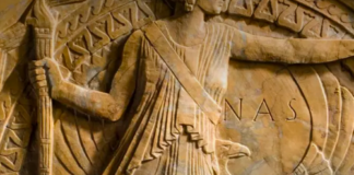 Inside the Campaign to Strip Harassers of Their Scientific Honors