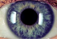 Is Artificial Intelligence Too Dehumanizing to Succeed?