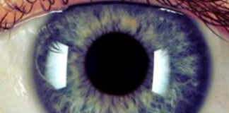 Is Artificial Intelligence Too Dehumanizing to Succeed?