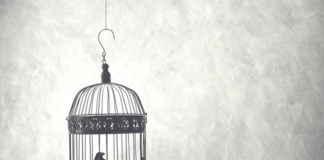 Escaping from AOT: Letter to the Judge escape from AOT birdcage