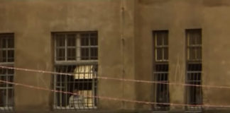Inhumane Medicine in Germany: A Dark Chapter Continued Ueckermünde Germany institution