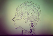 Healing From Schizophrenia psychosis brain healing